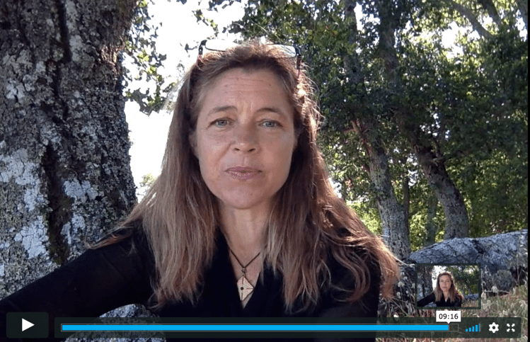 screen shot 2019-01-23 at 3.20.14 pm