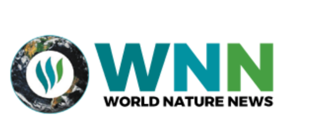 Screen Shot 2020-04-19 at 9.26.22 AM